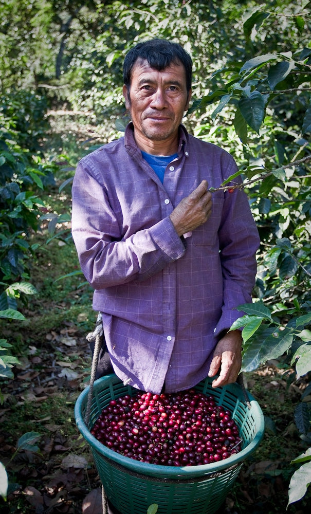 coffee producer