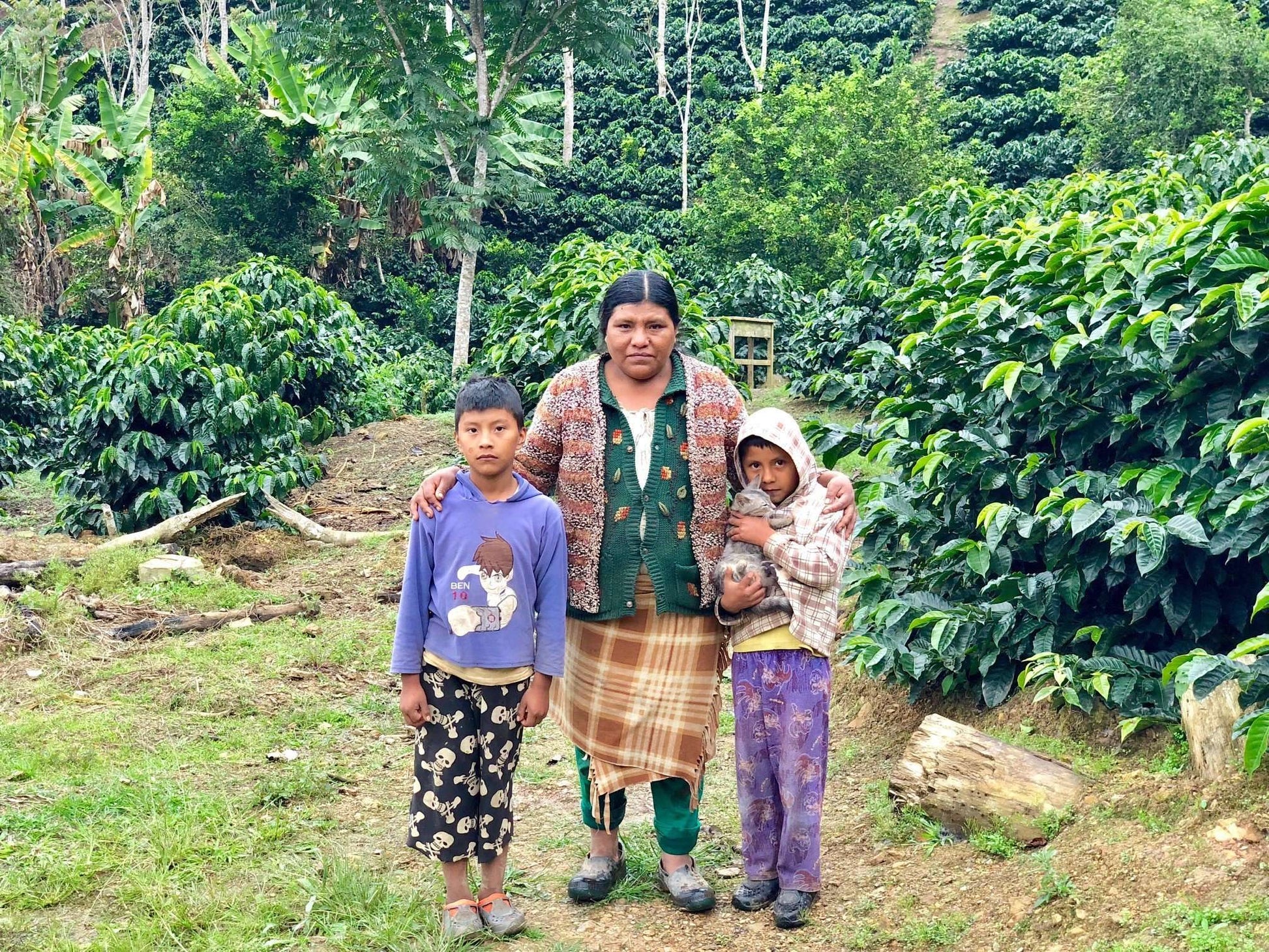 Bolivian Coffee producer