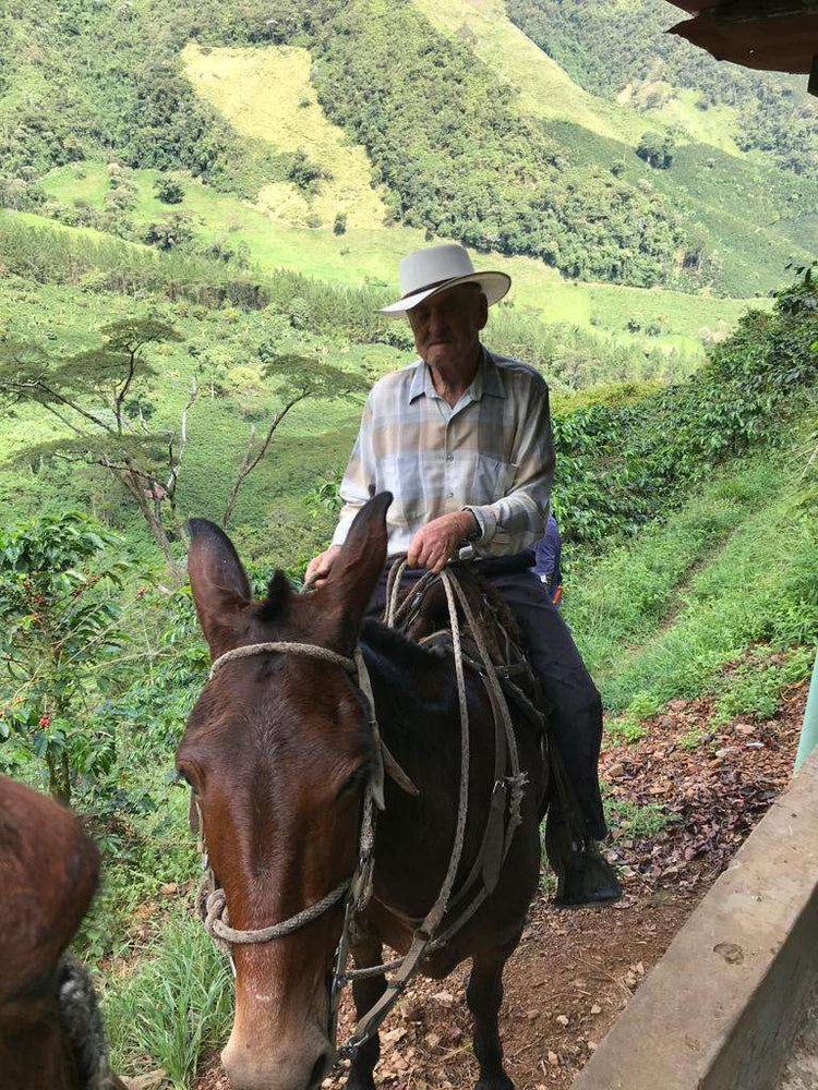 Colombian Coffee Producer