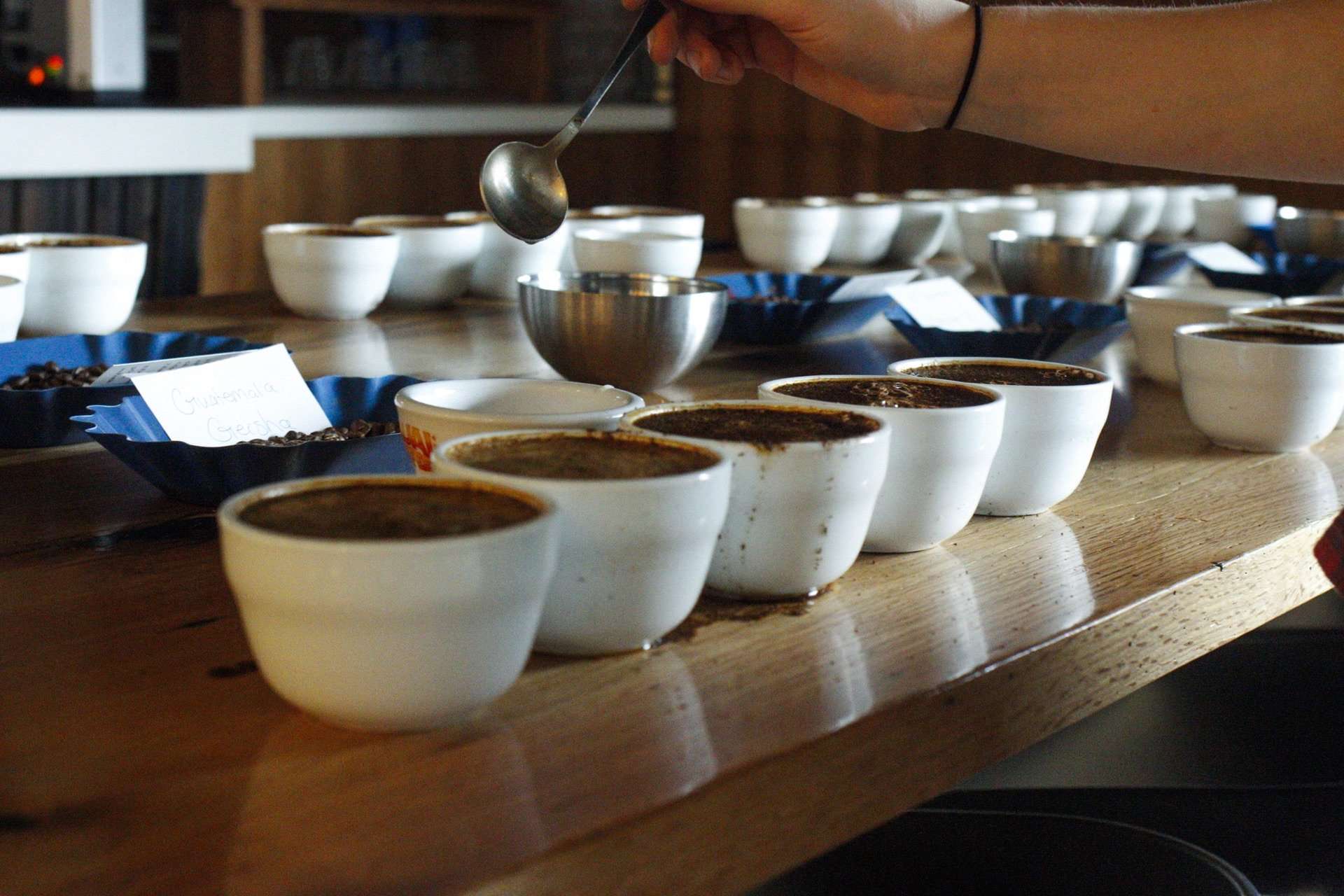 Cupping Coffee: A step by step guide | Fratello Coffee Roasters