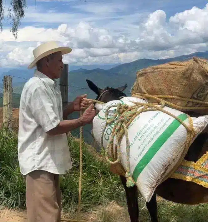 New Colombian Bolivar Coffee: A Gem from Antioquia