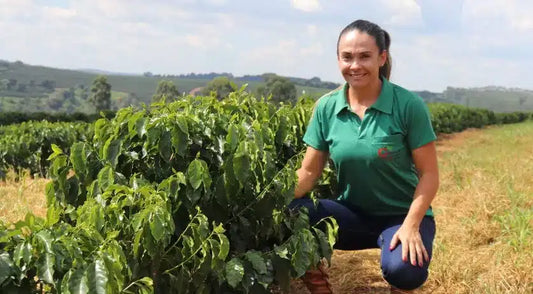 Brazilian coffee producer