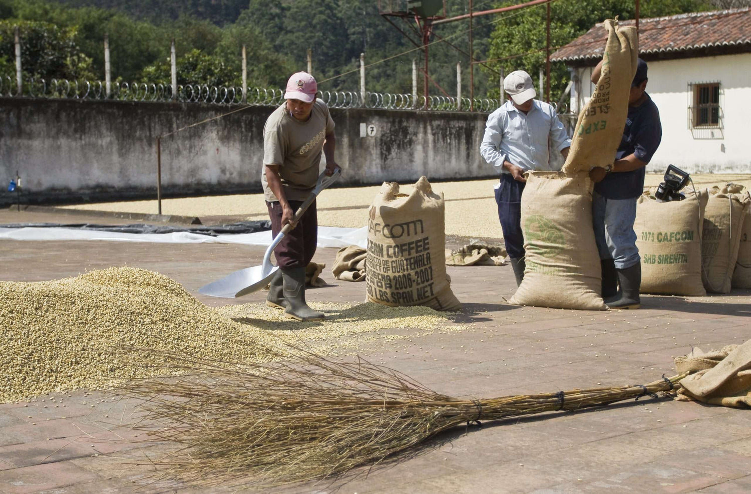 Guatemala Specialty Coffee