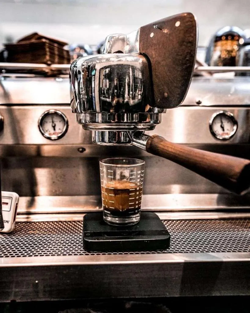 Barista worthy Steamed Milk Microfoam for Beginners Fratello Coffee