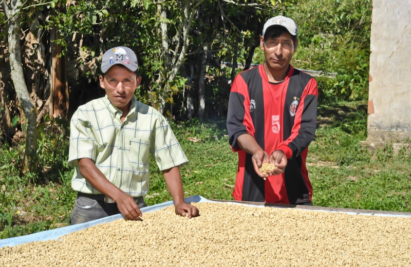 Bolivian Coffee Farmers