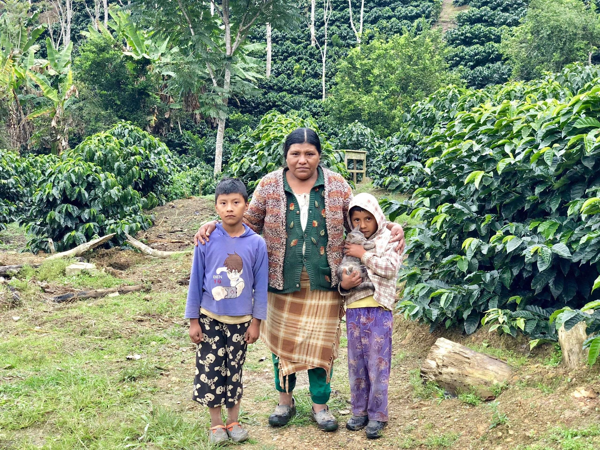 Coffee producer Bolivia