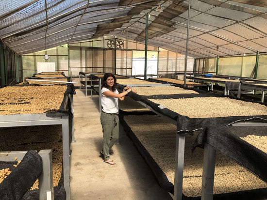 Raised African drying beds