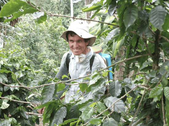 Coffee farmer