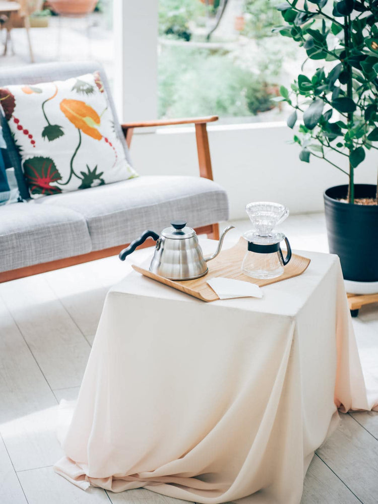 HARIO V60-01 Dripper (Plastic)