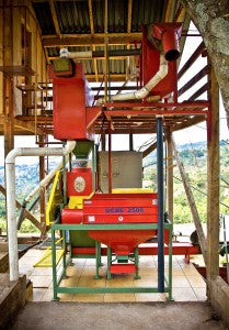costa Rica Micro Mill direct trade