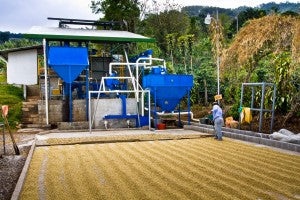 Costa Rica micro mill micro mill coffee direct trade costa rica