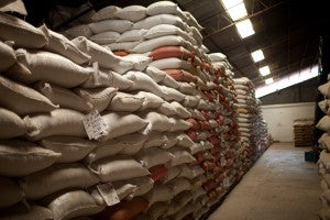 bodega coffee sacks resting warehouse fratello direct trade