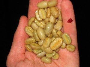 de-pulped coffee washed direct trade
