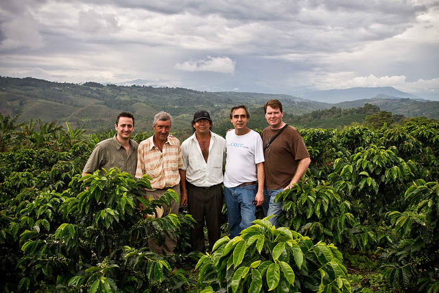 colombian huila fratello coffee direct trade
