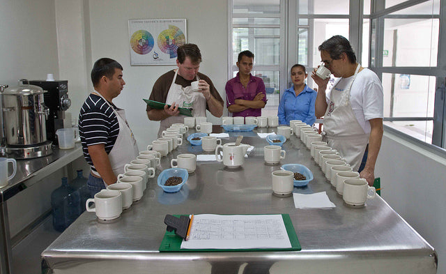 coffee cupping coocentral huila colombia direct trade