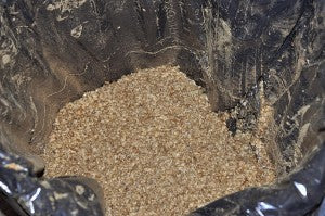 coffee chaff