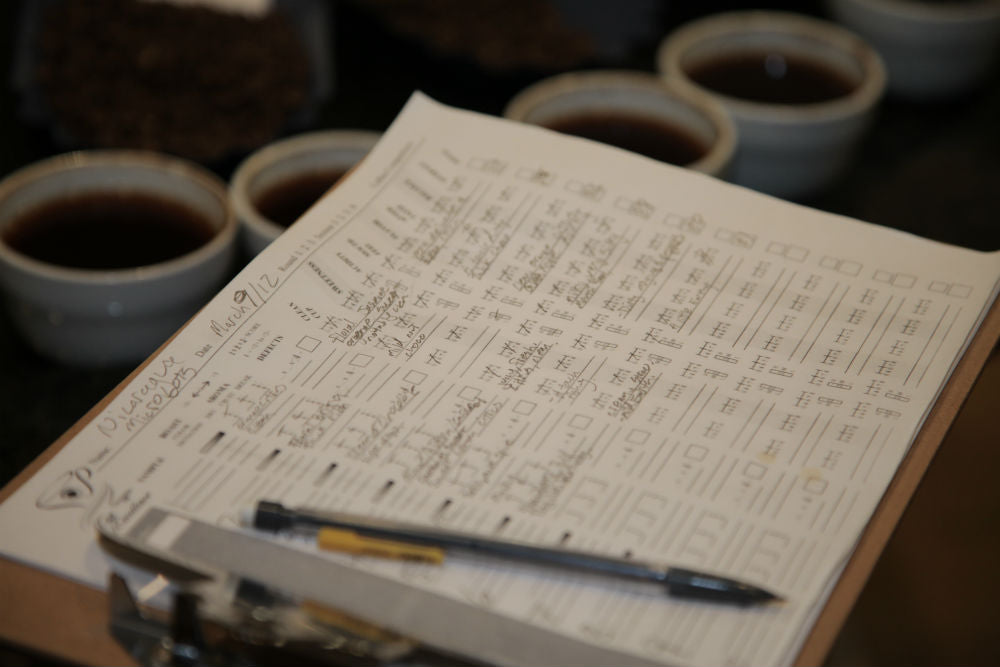 notes cupping score sheet 