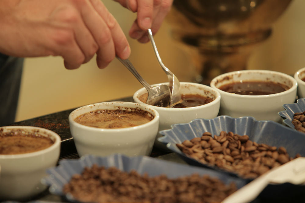 Removing Grounds from cupping bowl cupping bowl ground tasting