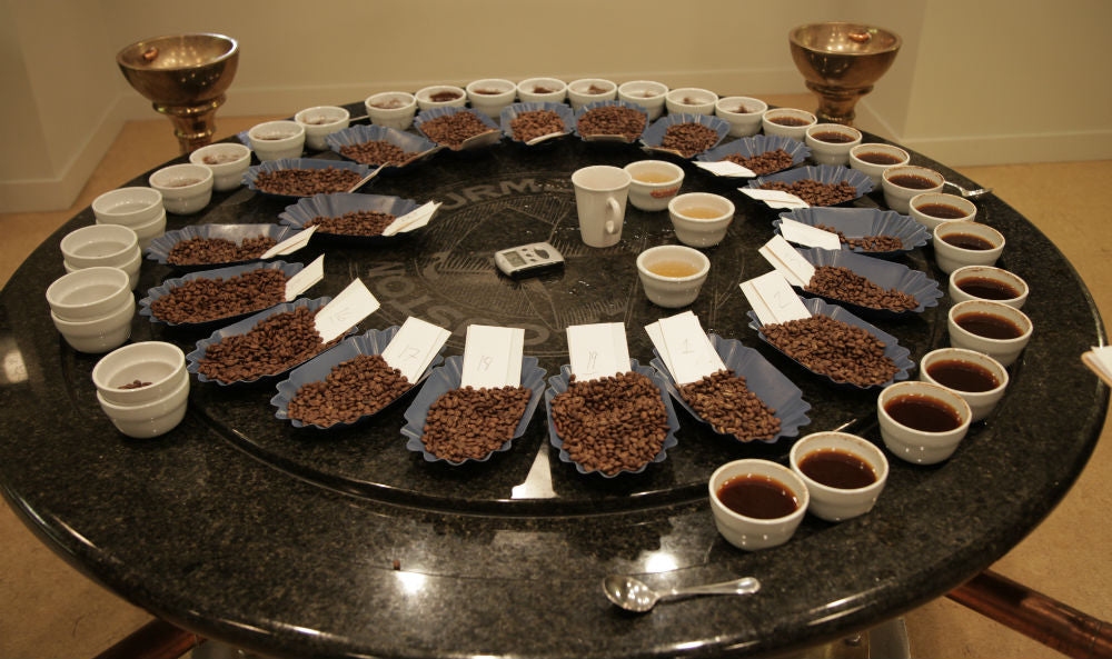 Fratello Cupping table fratello cupping table tasting micro lots