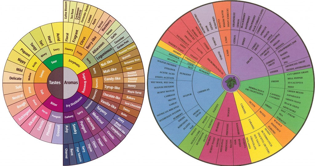 Coffee and Wine flavour wheels