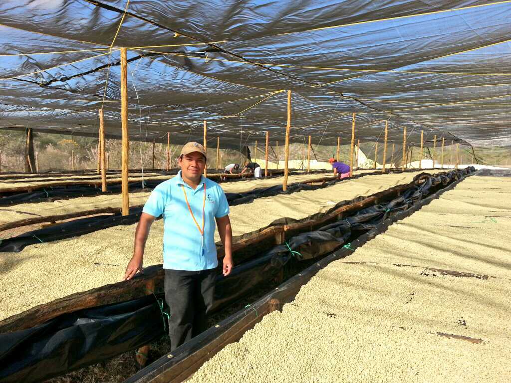 raised african drying beds