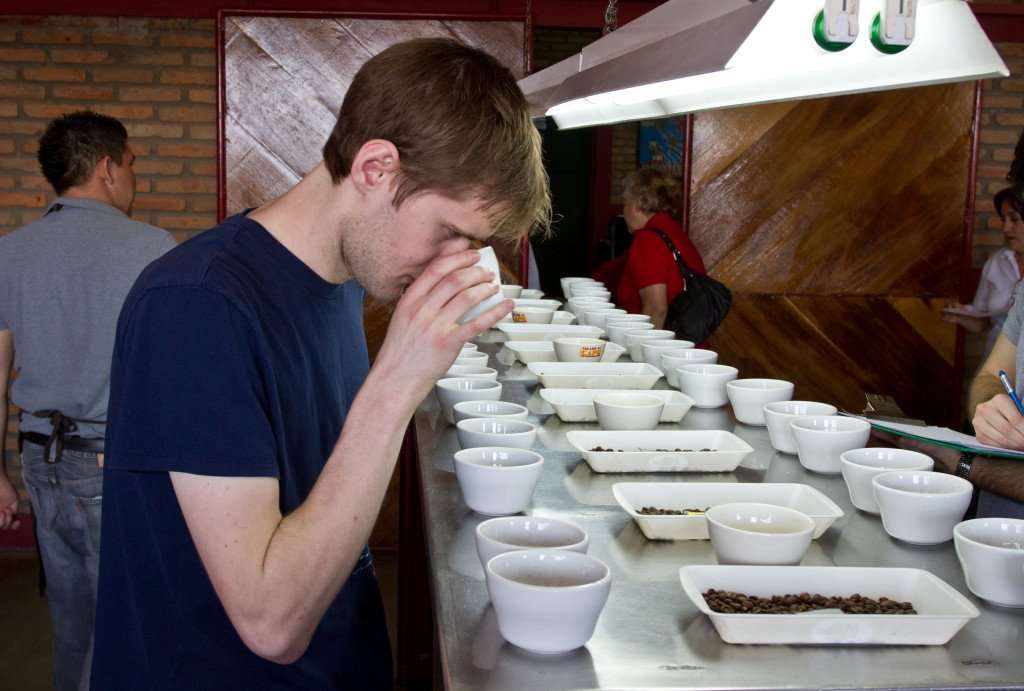 Coffee cupping Coffee cupping
