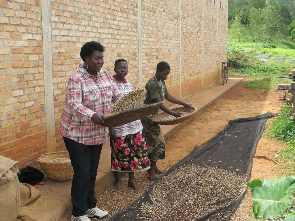woman-owned coffee